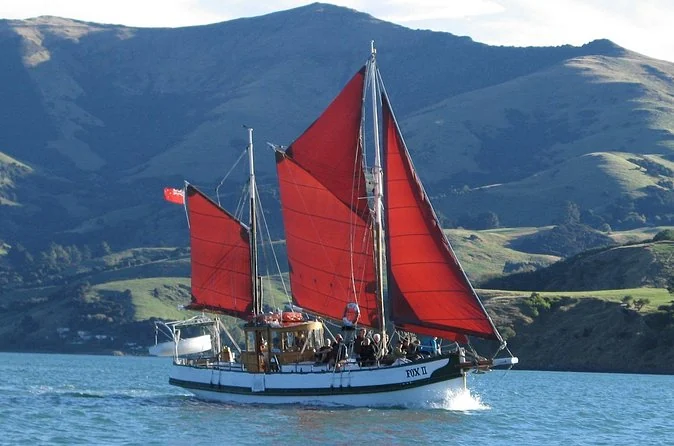 Fox II Sailing & Wildlife Cruise