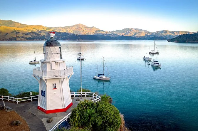 Small-Group Akaroa Day with Lunch