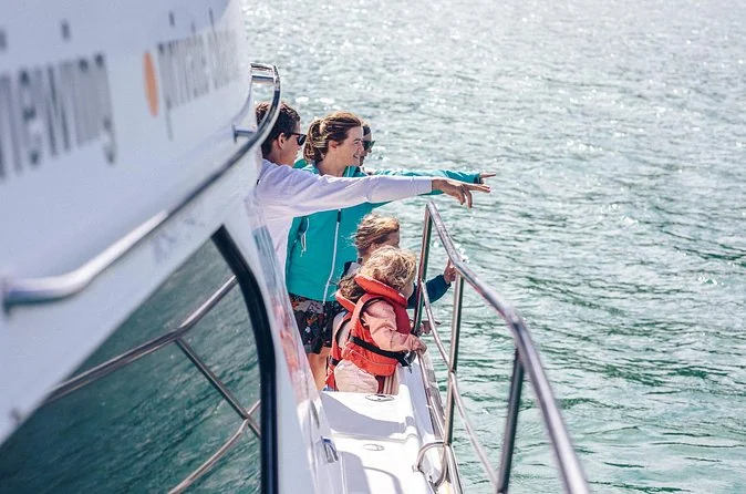 Passengers at the bow rail of a boat looking at the water, a small child in an orange life jacket at the front
