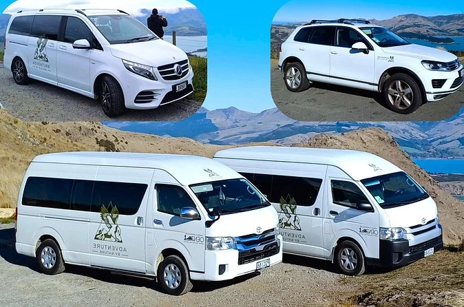 White tour vans and a white car parked on a hill above the harbour