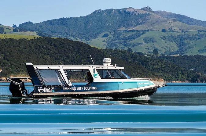 Black Cat's small swim boat with a blue and white hull on calm water, hills behind