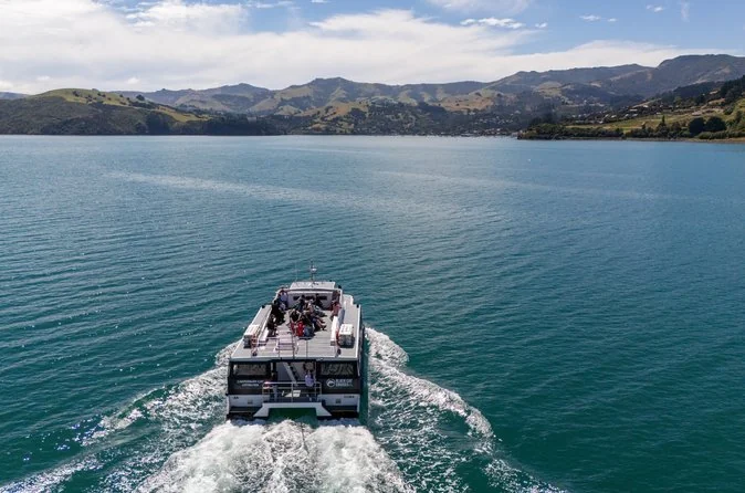 Un catamarano bianco visto dall'alto, che traccia una lunga scia sull'acqua blu e calma della baia